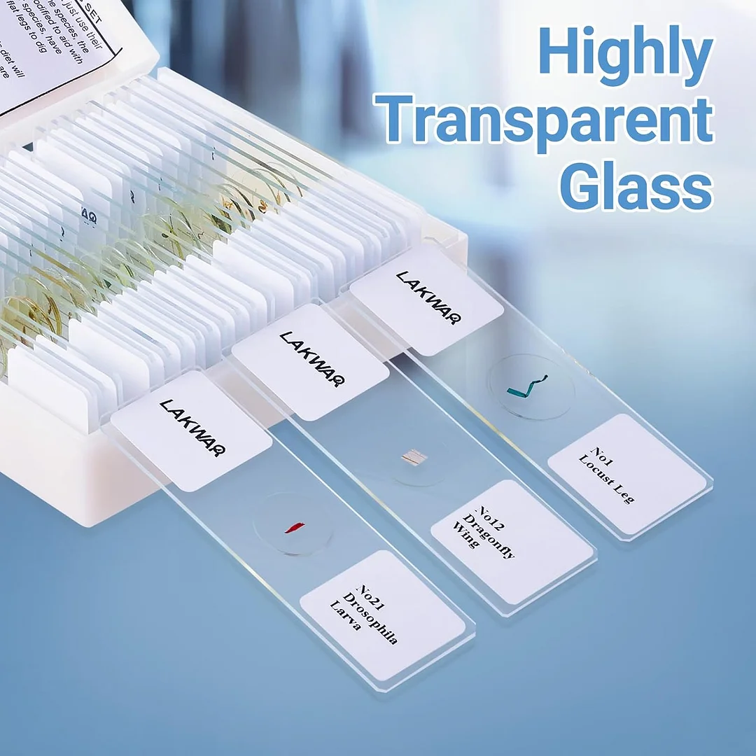25 Insect Microscope Slides with Specimens for Kids Adults, Prepared Insect Microscope Slides Kit