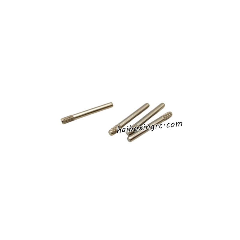 HAIBOXING 2996 2996A Parts Hinge Pins T2021