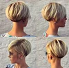 Blonde Mixied Gray Short Straight Pixe Cut Hair