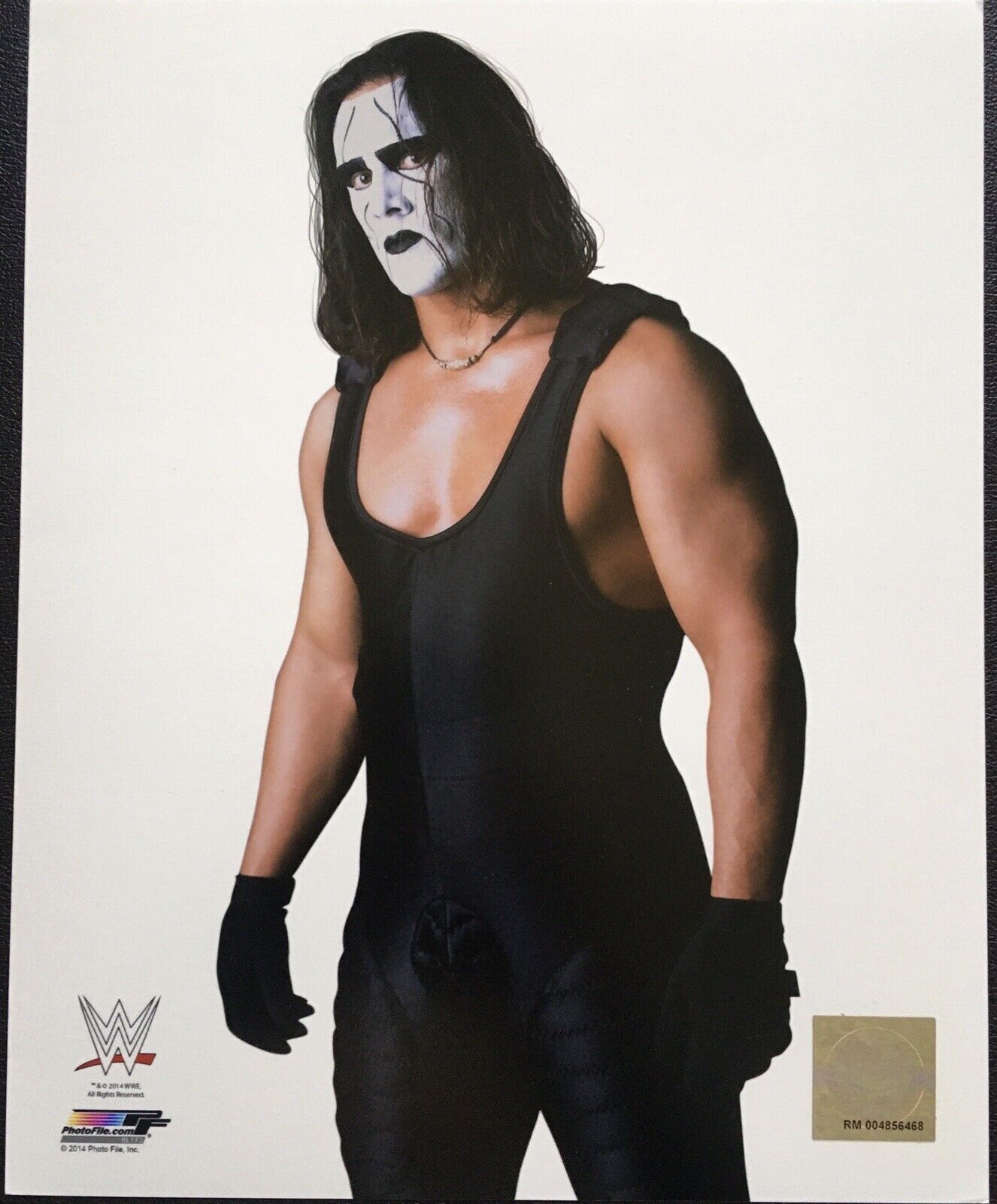 WWE Official Licensed Photo Poster paintingfile 8x10 Photo Poster painting STING WCW AEW