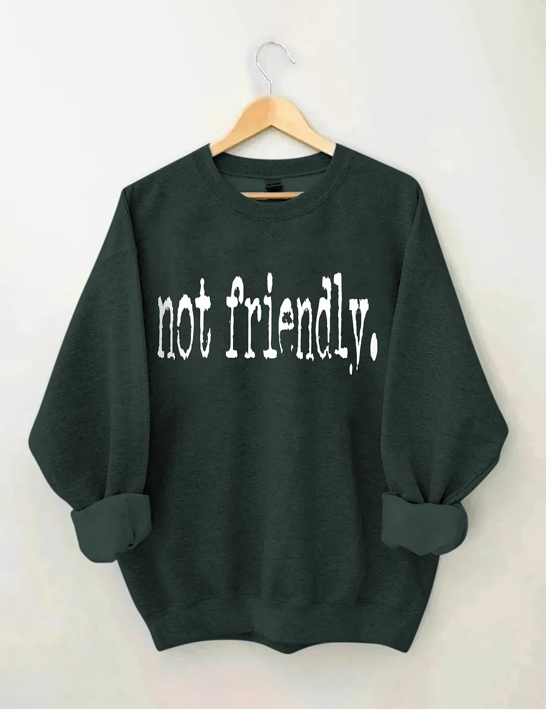 Not Friendly Typography Sweatshirt