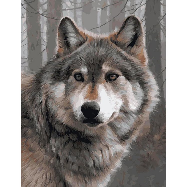 Peinture par numéro - Peinture à l’huile - Loup gris (40'50cm)