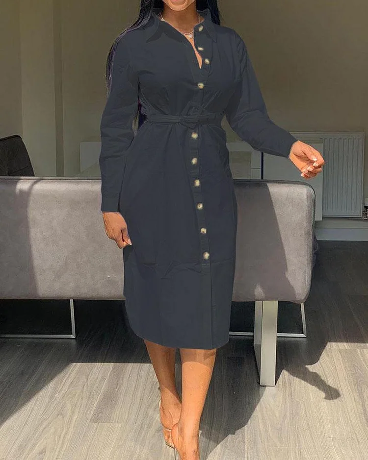 Solid Color Long Sleeve Casual Wear Dress