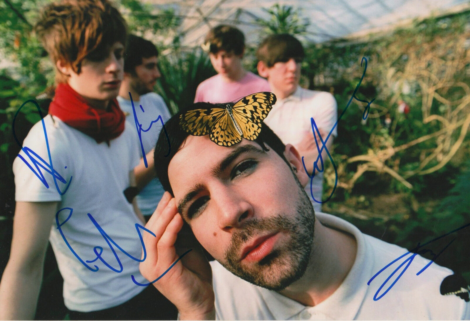 Foals Band full signed 8x12 inch Photo Poster painting autographs