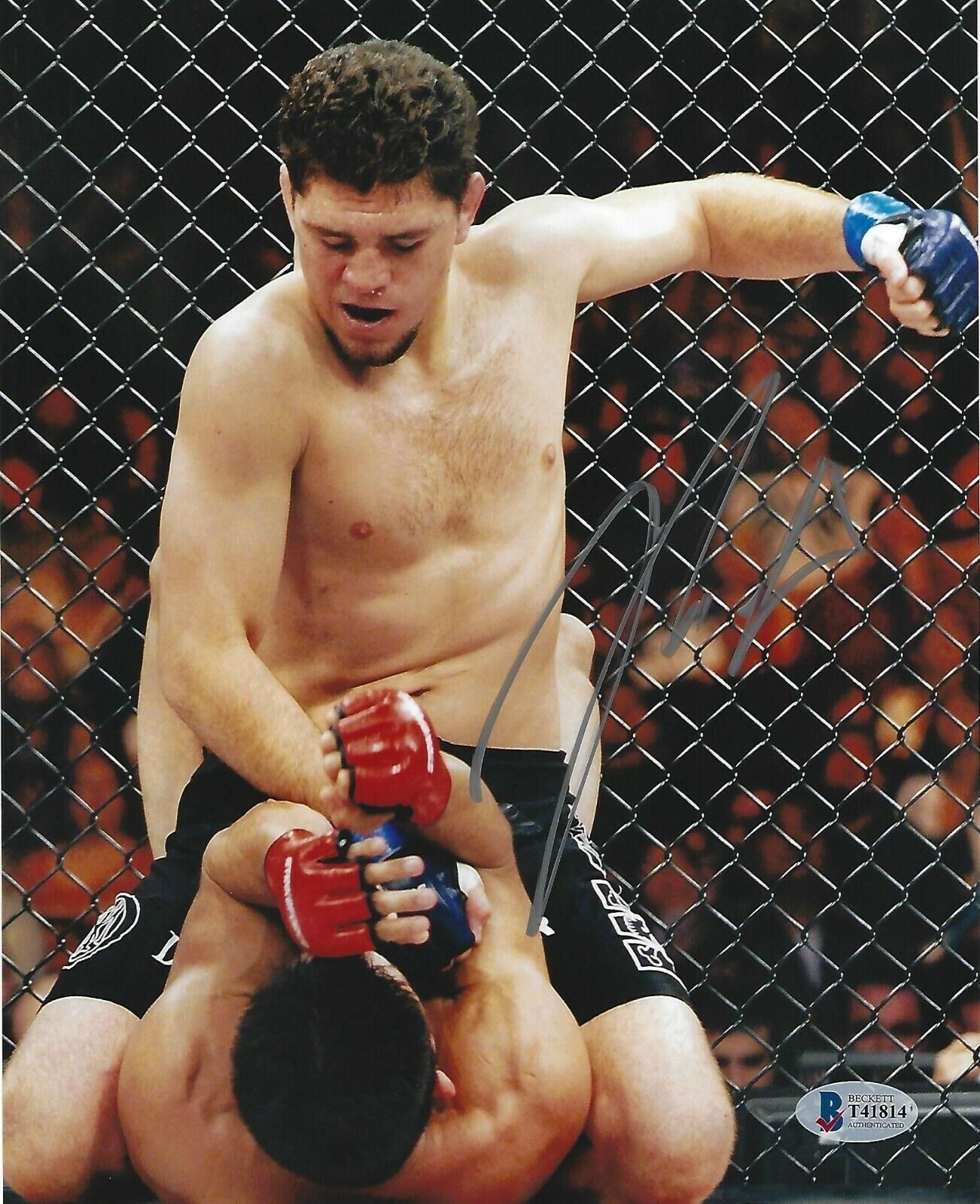 Nick Diaz Signed 8x10 Photo Poster painting BAS Beckett COA UFC StrikeForce Picture Autograph 2