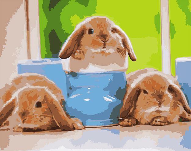 

Baby Rabbits – Paint By Numbers - 40*50CM, 501 Original