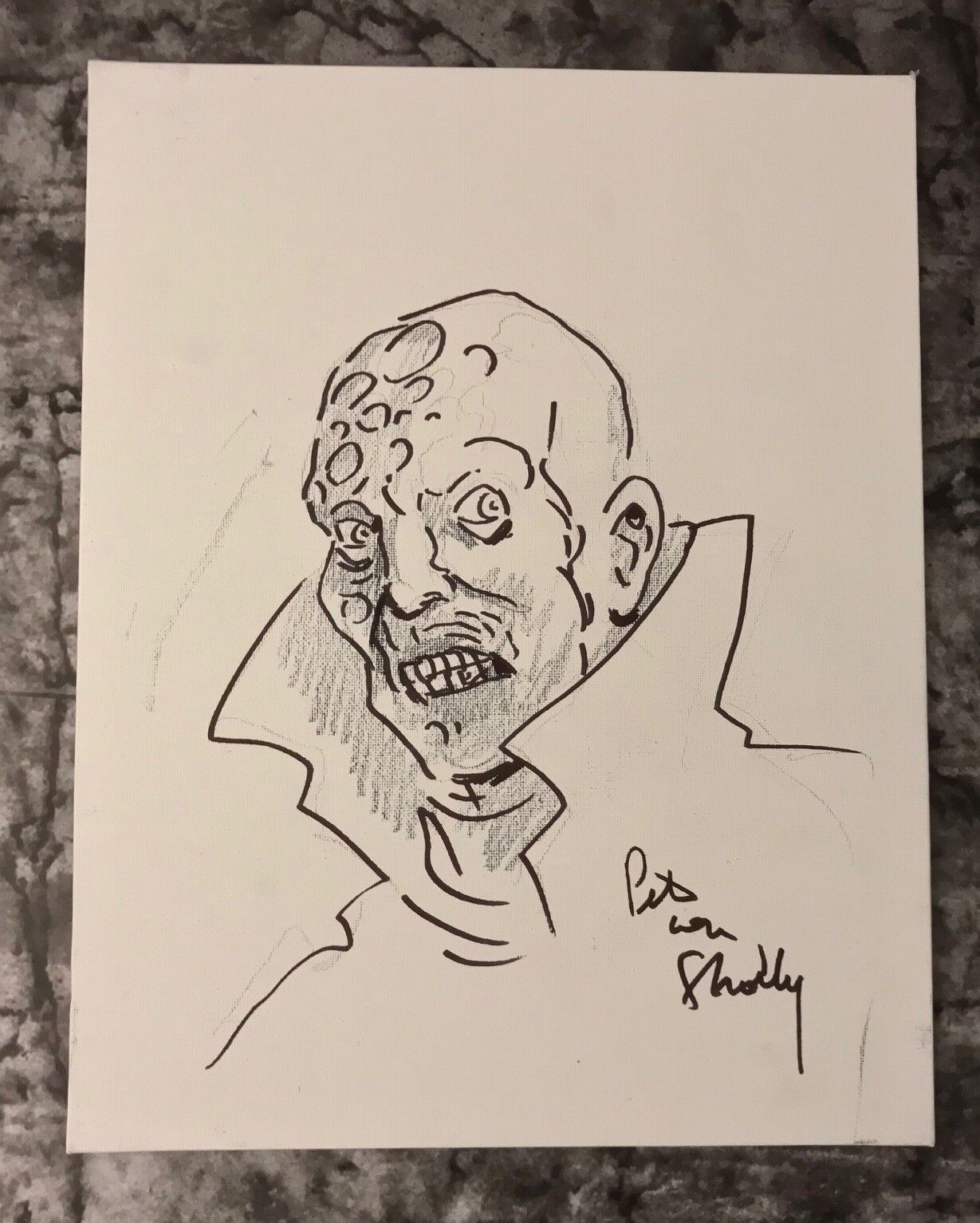 GFA Darkman * PETE VON SHOLLY * Signed Sketched 11x14 Canvas 1/1 MH3 COA