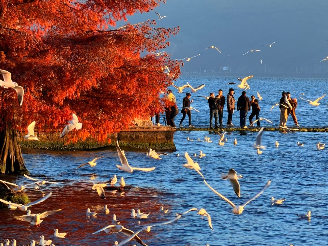 2-Day Private Yunnan Dali Tour: Erhai Lake Loop, Ancient Towns & Tie-Dye Experience