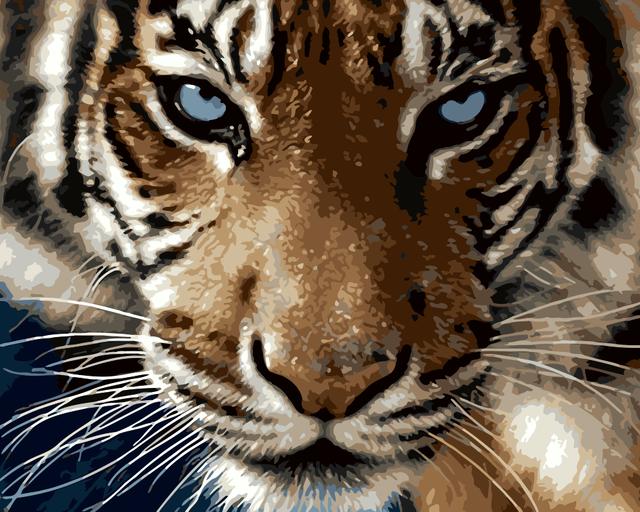 

Blue Eyed Tiger – Paint By Numbers - 40*50CM, 501 Original