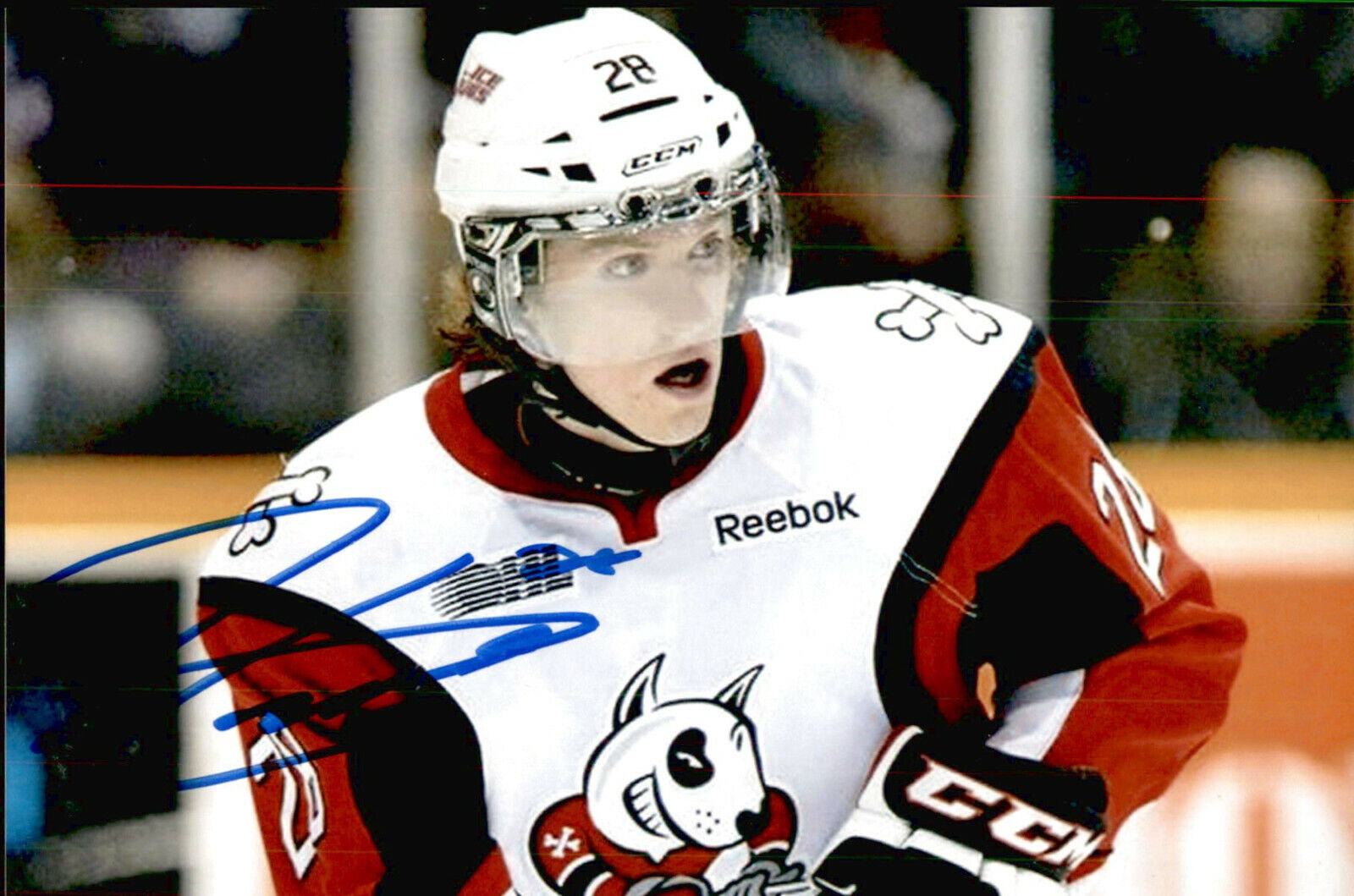 Aaron Haydon SIGNED autographed 4x6 Photo Poster painting NIAGARA ICE DOGS / DALLAS STARS #3