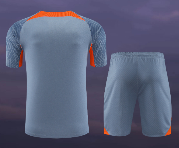 23/24 Inter Milan Training Kit Short Sleeve Football Shirt Thai Quality