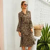 Women's A-Line Dress V-Neck Leopard Print Long Sleeve Midi Dress