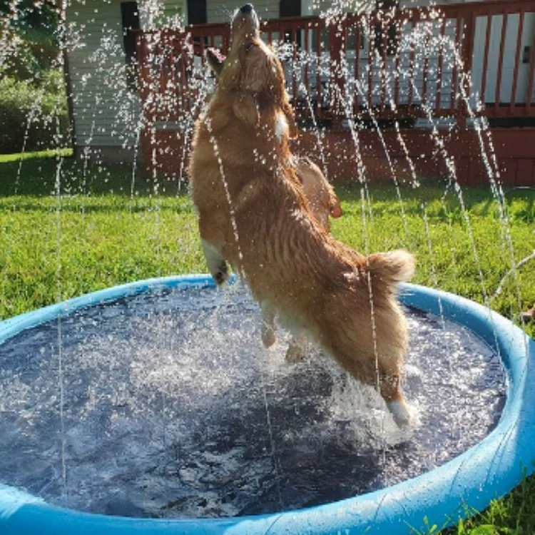 (🎁Father's Day Gift-49% OFF) 🐕Dog Splash Sprinkler Pad