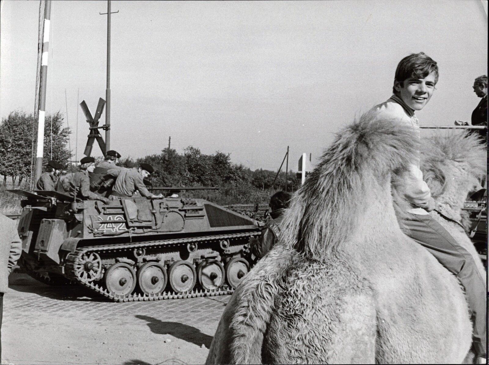 Heintje On Camel Neben Panzer - Vintage Press Photo Poster painting Norbert Unfried (U-4251