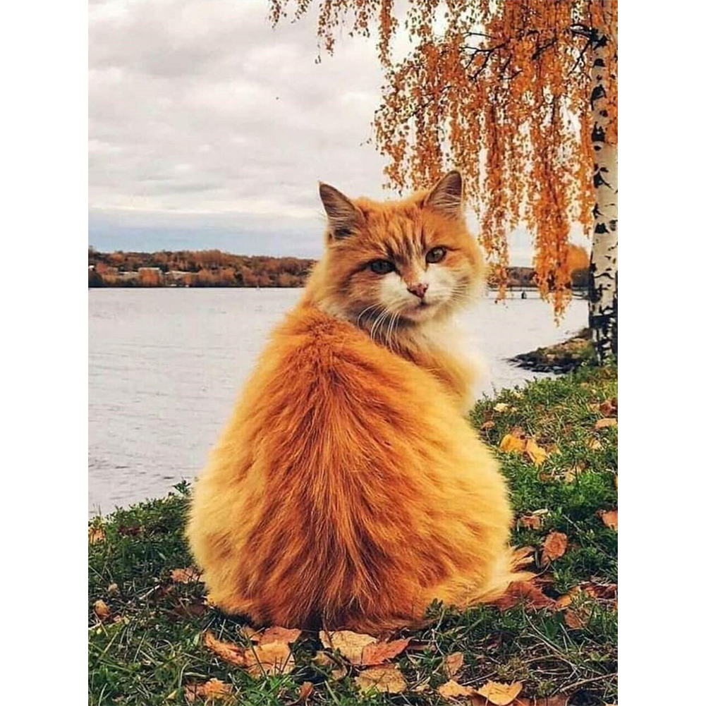 

30*40CM - Round Drill Diamond Painting - Riverside Cat, 501 Original