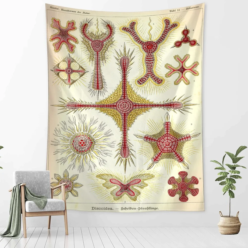 Starfish Conch Tarot Tapestry Wall Hanging Psychedelic Witchcraft Abstract Illustration Room Bedroom Home Decor