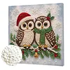 (20x20cm)Owl Xmas Pearl Painting Art Kits With Inner Frame Pearl Gem Paintings Picture Arts Craft for Adults Beginners Home Wall Decor