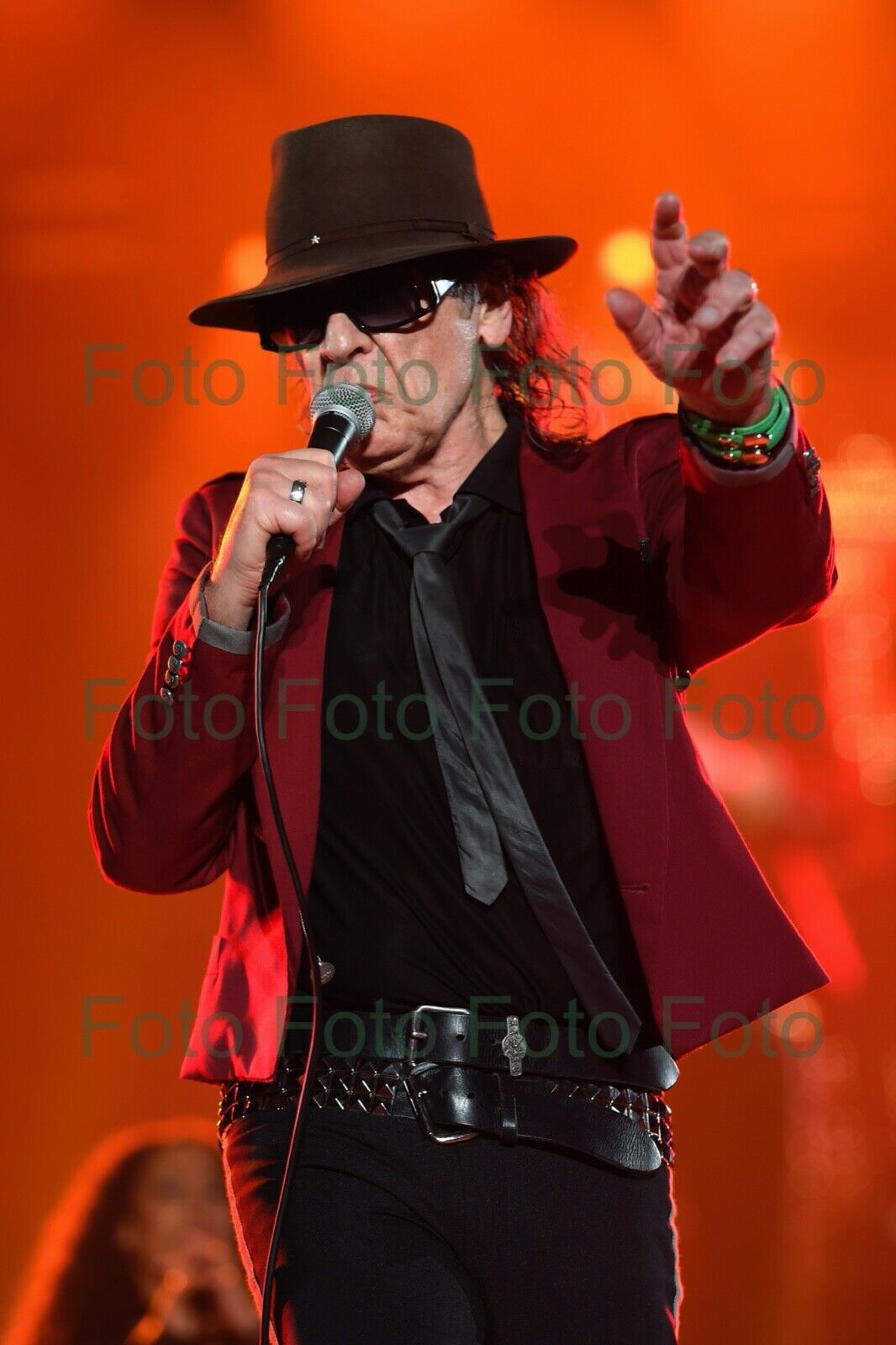 Udo Lindenberg Rock Musik Maler Foto 20 x 30 cm ohne Autogramm (Be-53