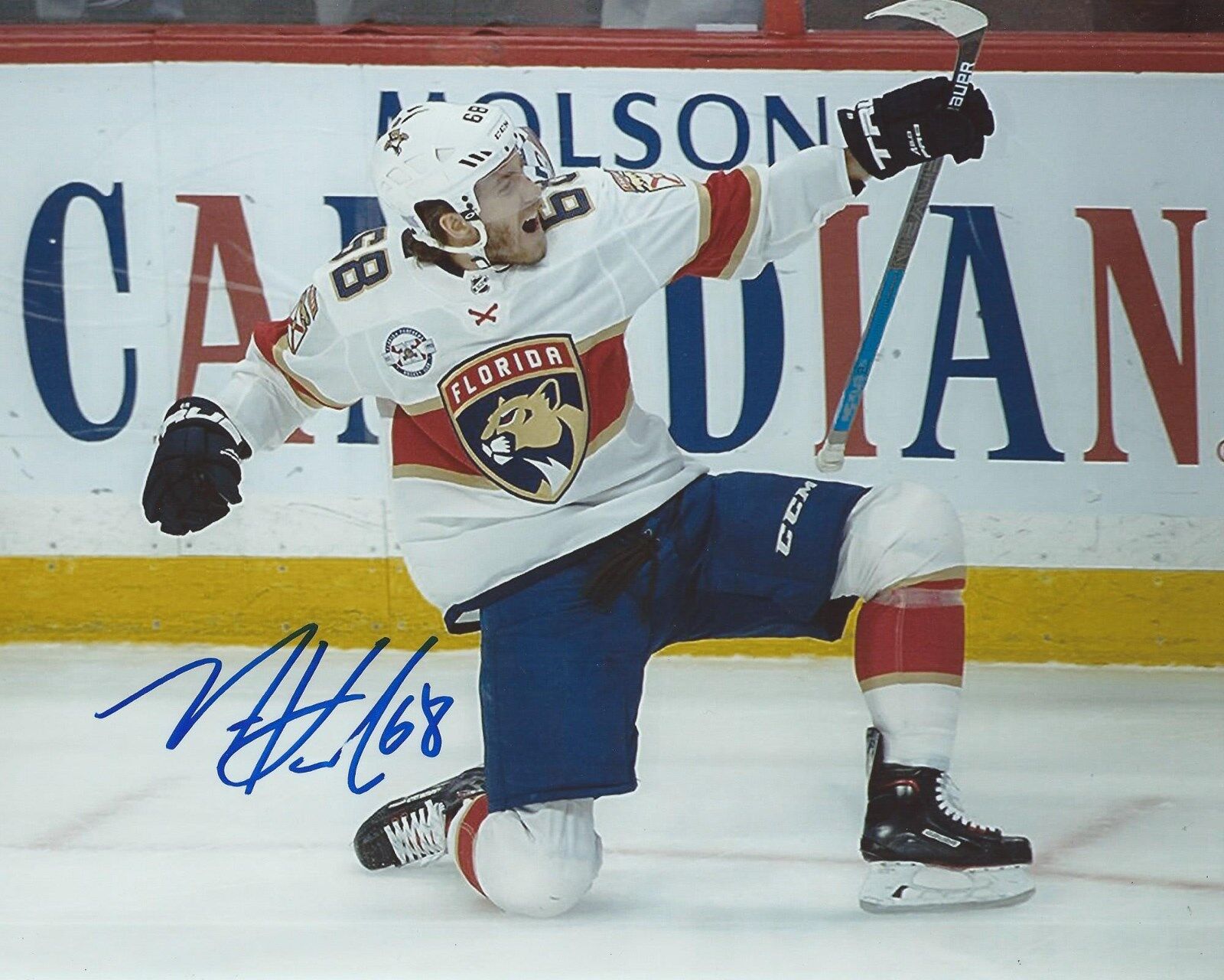 Mike Hoffman Signed 8x10 Photo Poster painting Florida Panthers Autographed COA