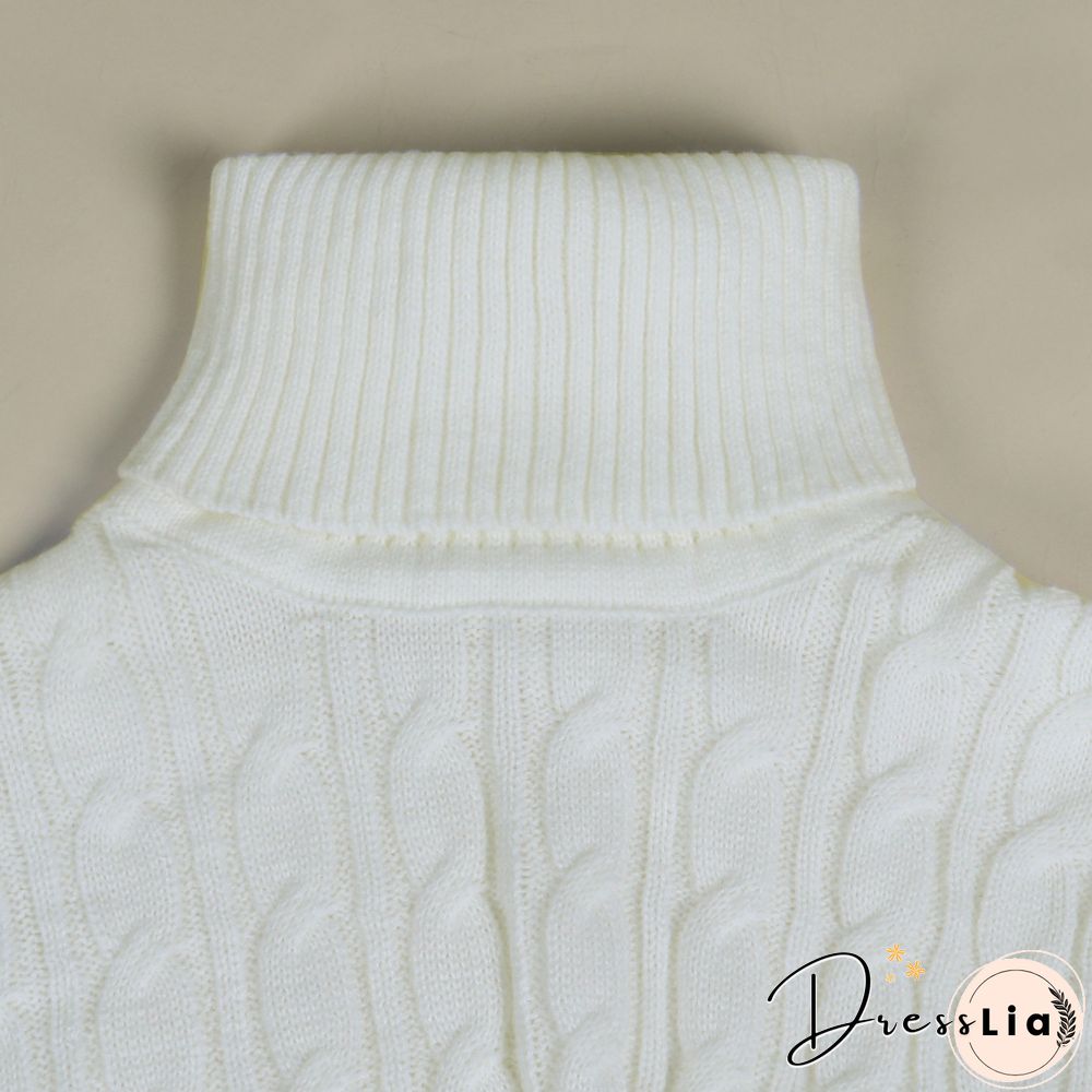 Solid Color Turtleneck Bat Sleeve Sweater Crop Top