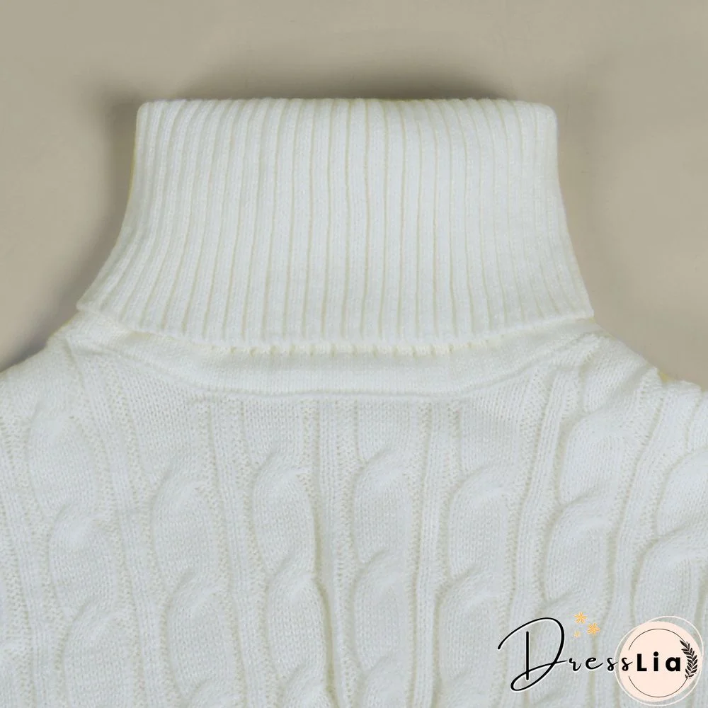 Solid Color Turtleneck Bat Sleeve Sweater Crop Top