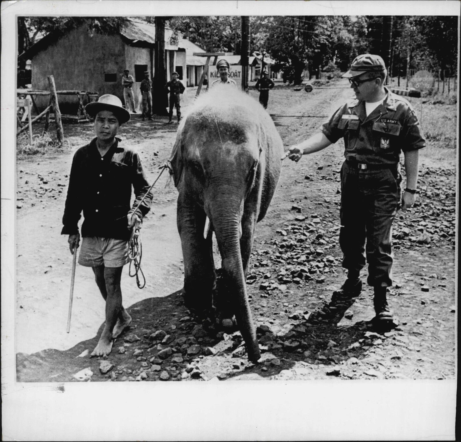 1962 US Army Lt Poe and Elephant in South Vietnam Press Photo Poster painting