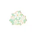 Sweet Summer Flowers