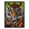 (Big Size)Tiger - 11CT Stamped Cross Stitch - 45*60cm - Animal