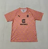 2025/2026 AC Milan Special Edition Football Jersey 1:1 Thai Quality