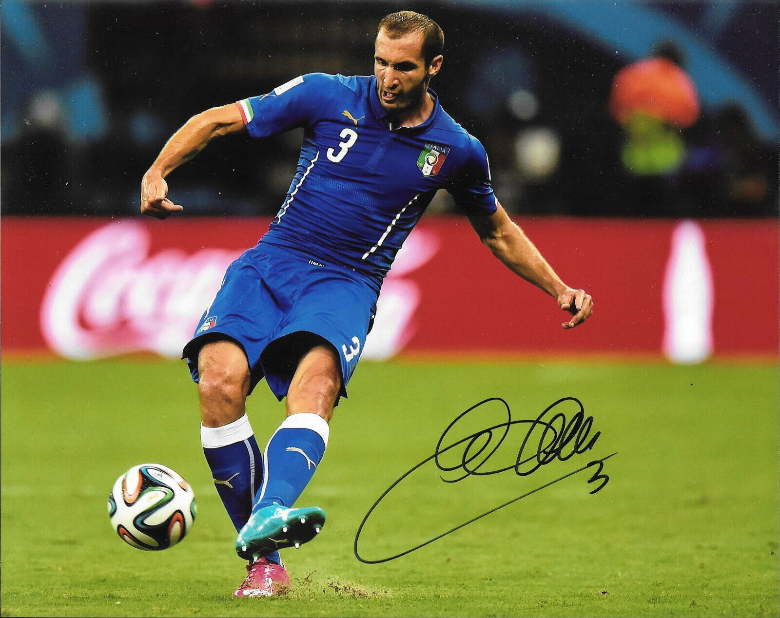 JUVENTUS GIORGIO CHIELLINI HAND SIGNED ITALY 8X10 Photo Poster painting W/COA