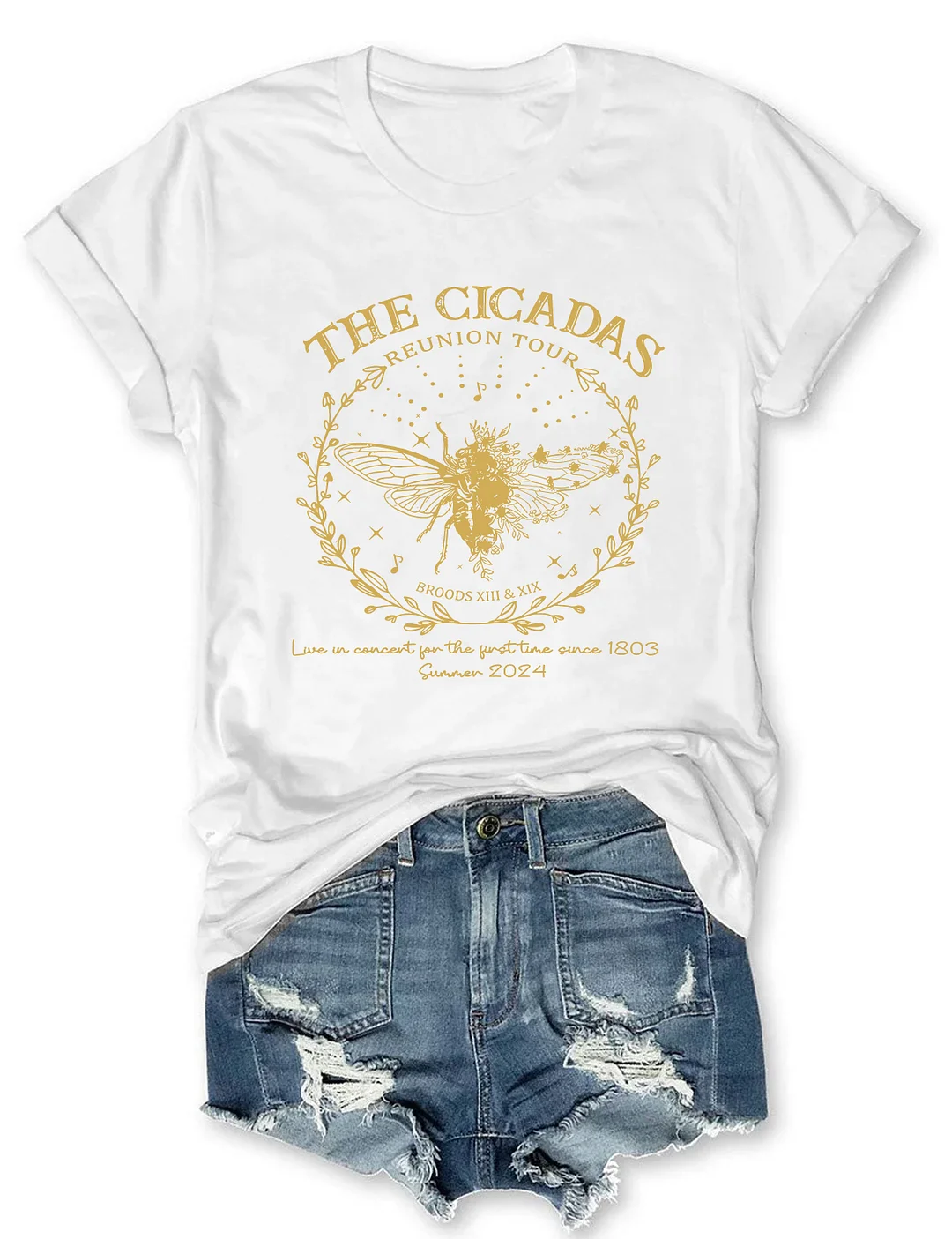 The Cicadas Reunion Tour 2024 T-shirt