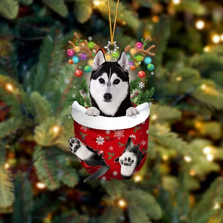 Husky In Snow Pocket Christmas Ornament trabladzer