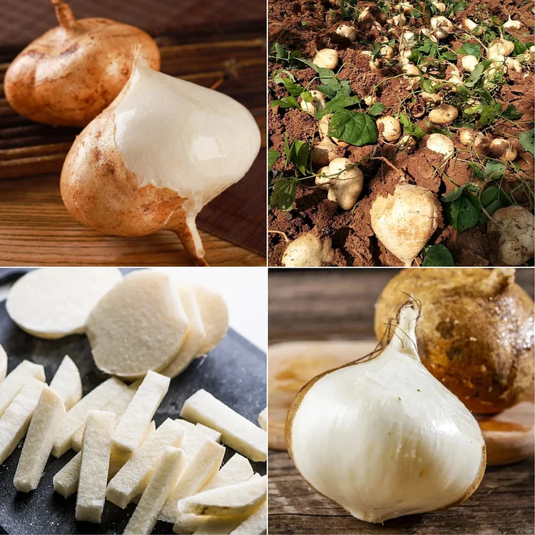 Crispy Sweet Jicama Seeds- A Vegetable and Fruit in One!