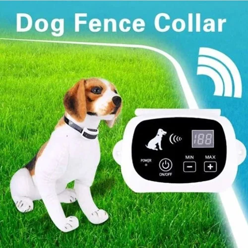 Dog Fence Invisible