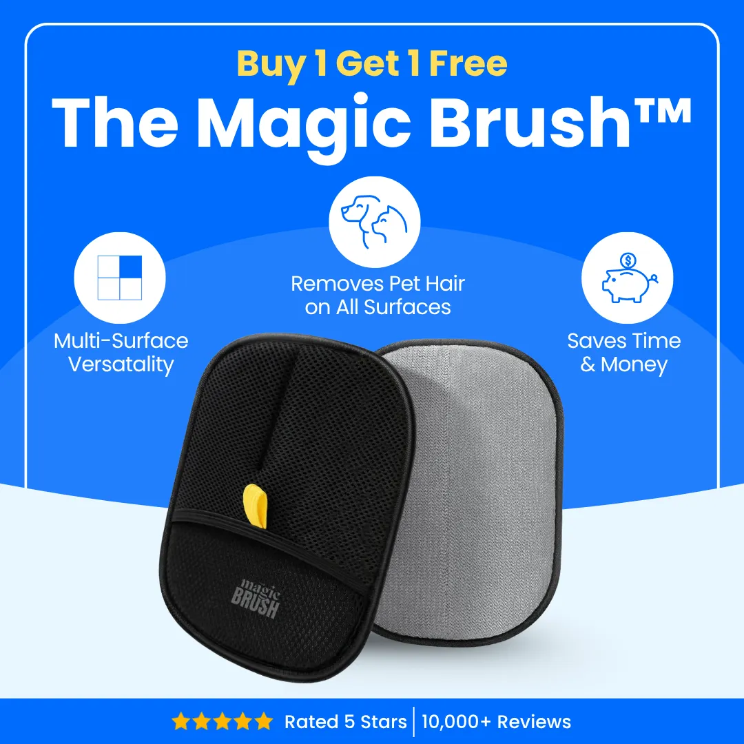 The Magic Brush - Buy 1 Get 1 Free