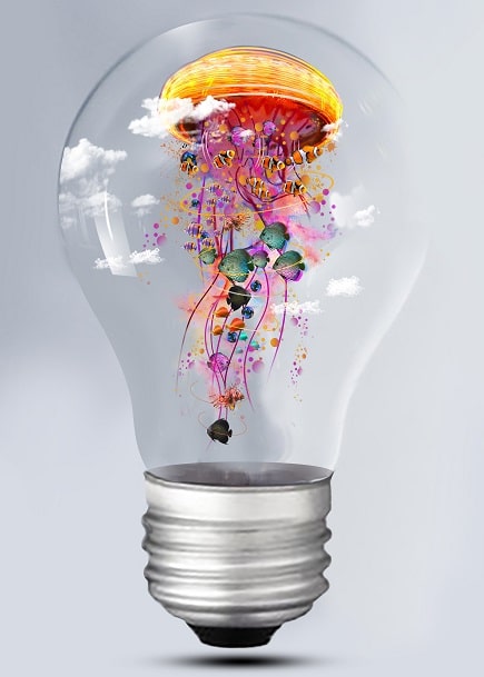 

Electric Jellyfish – Paint By Numbers - 40*50CM, 501 Original