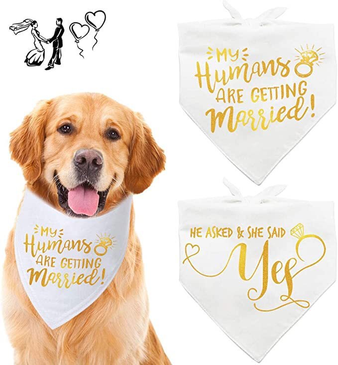 Pet Alphabet Cute Plant Print Scarf
