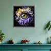 5D DIY Full Round Drill Diamond Painting Eye Kit Home Decor Art Craft 30x30cm (B)