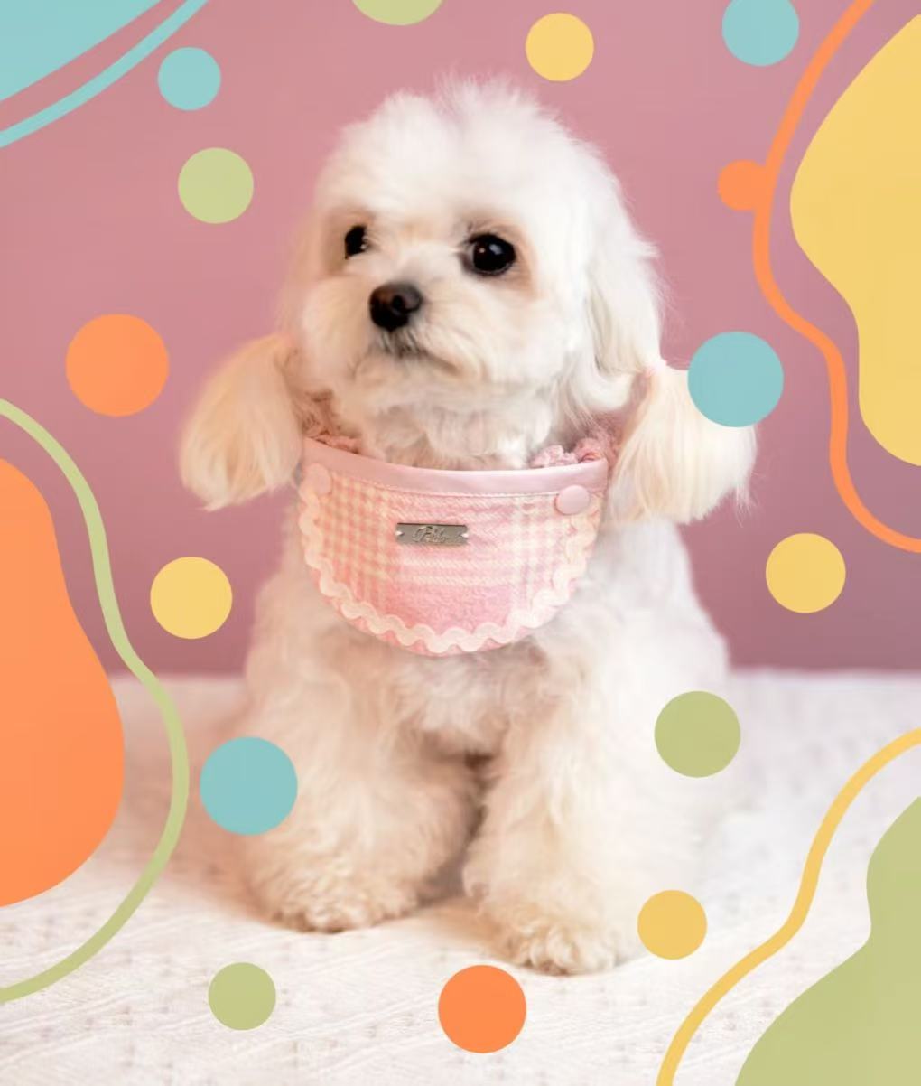 Oval-Shaped Saliva Towels For Dogs And Cats