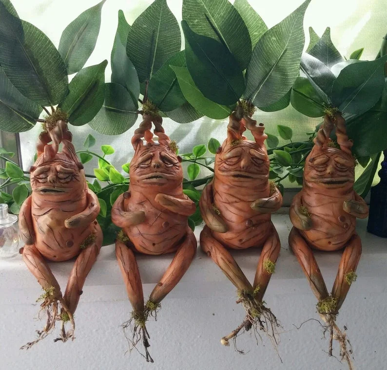 Mandrake