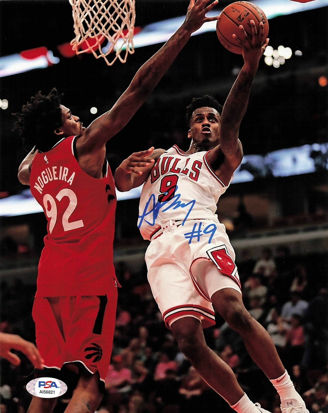 ANTONIO BLAKENEY signed 8x10 Photo Poster painting PSA/DNA Chicago Bulls Autographed