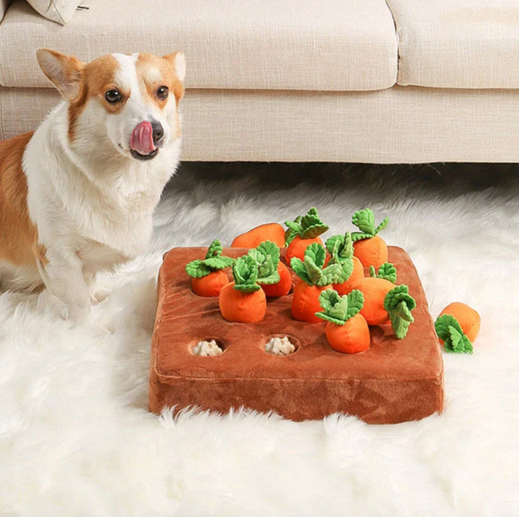 Dog Carrot Plush Toy