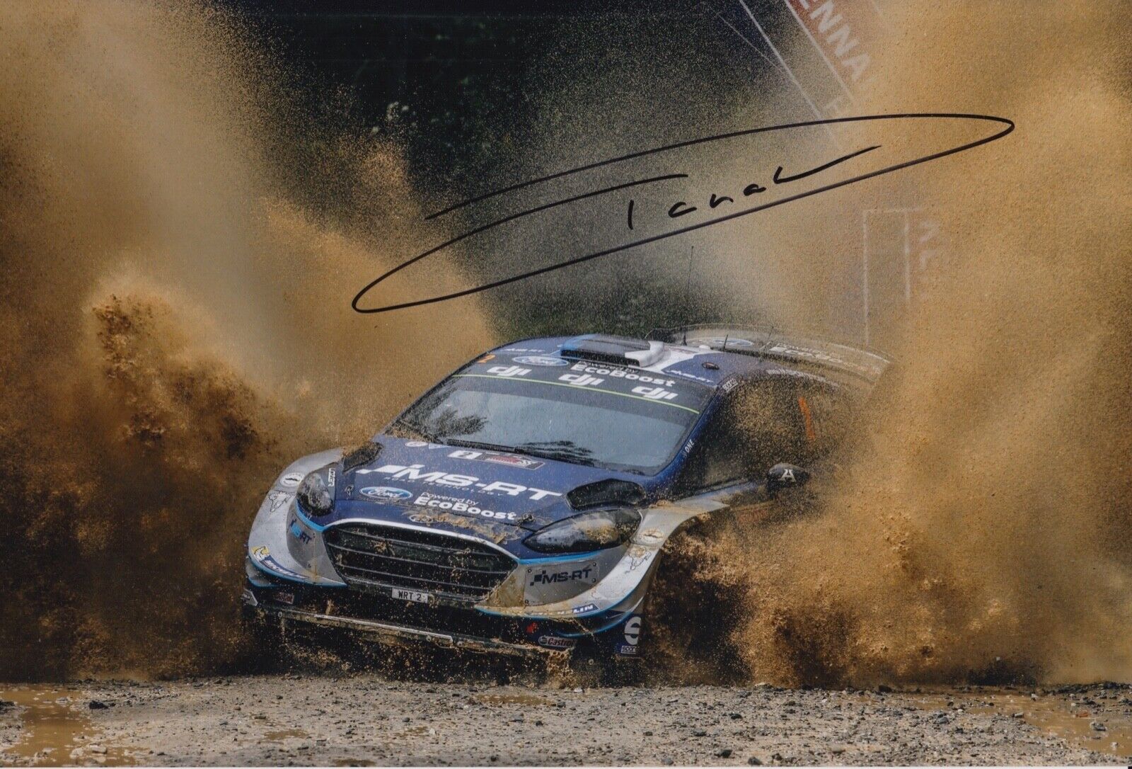 OTT TANAK HAND SIGNED 12X8 Photo Poster painting RALLY AUTOGRAPH M SPORT FORD 8