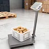 Foldable Floor Scale LCD Display Industrial Platform Scale for Pricing Warehouse