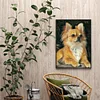 Perle De Chien - Rond Diamant Peinture40X50CM