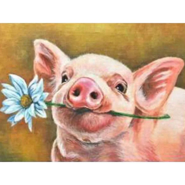 Full Round Diamond Painting Pig (40*30cm)