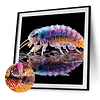 (Box Packaging)Diamond Painting -DIY Round Drill Mantis Shrimp