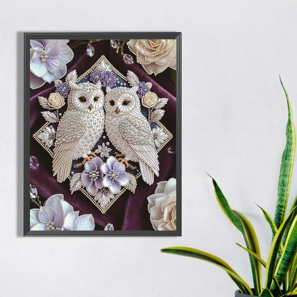 Pearl Twin Owls Special Shaped 5D DIY Partial Drill Diamond Painting Kit Home Art 30x40cm