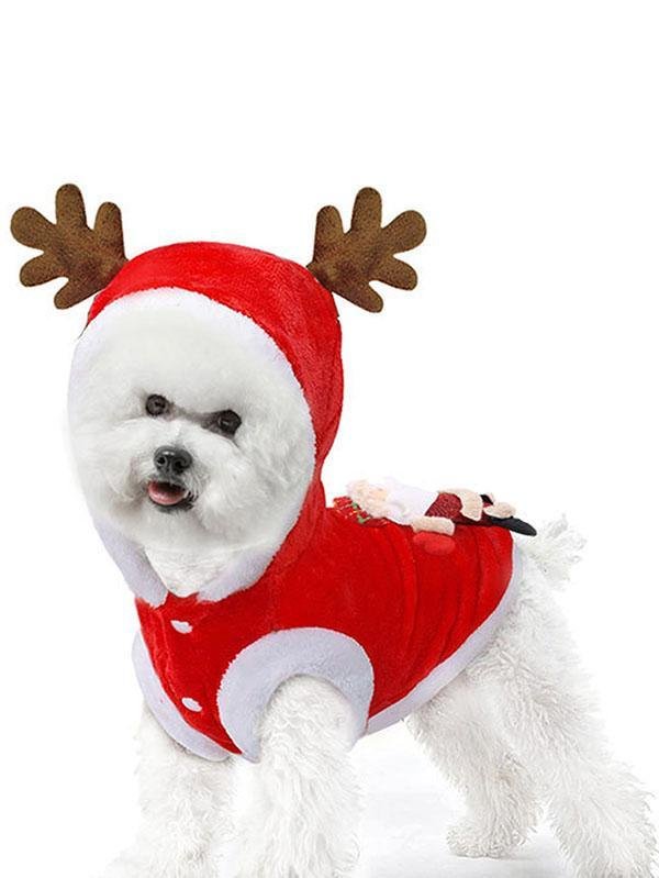 dog christmas reindeer outfit