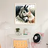 Cat Horse-Partial 11CT Stamped Cross Stitch Bead Embroidery 36*36cm/14.17*14.17in tapestrymarket